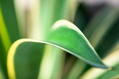 外媒评选2022年十大优化最佳的PC游戏